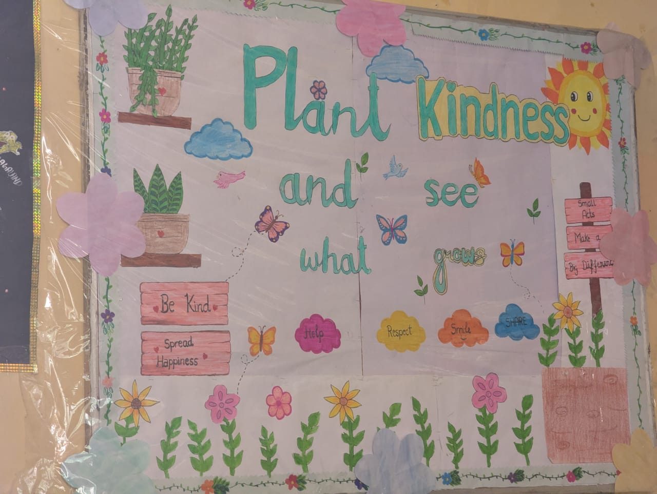 Plant Kindness display board by students